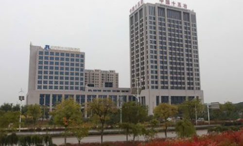 武漢市十五冶金通物質(zhì)設(shè)備有限公司(出口于肯尼亞、坦桑尼亞、剛果)