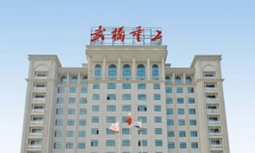 武橋重工集團建設(shè)工程有限公司